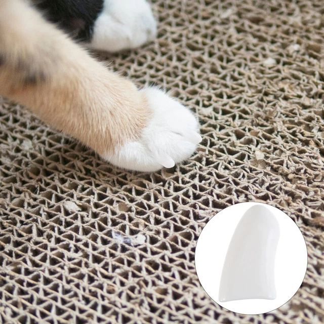 2 confezioni/40 pz set unghie per animali domestici artigli per cani cappellini gatti antigraffio