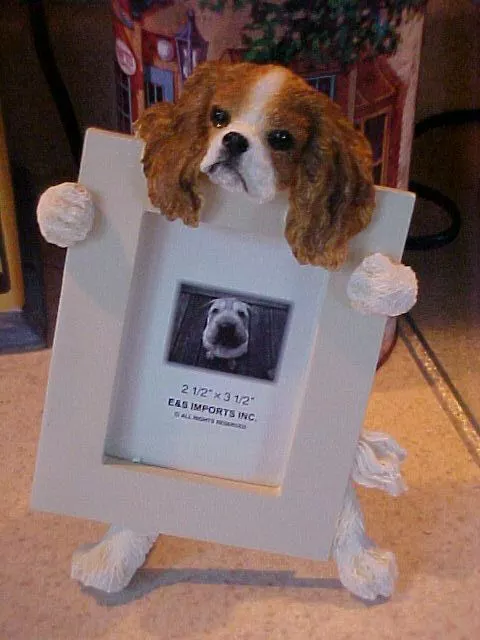 Cavalier King Charles Spaniel ~ Picture Frame #18