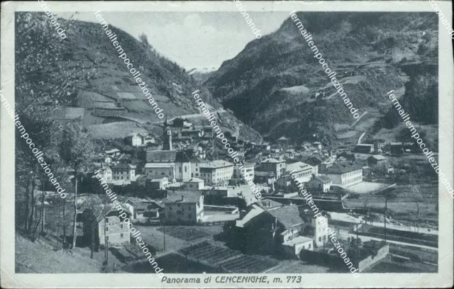 cm297 cartolina panorama di cencenighe  provincia di belluno veneto