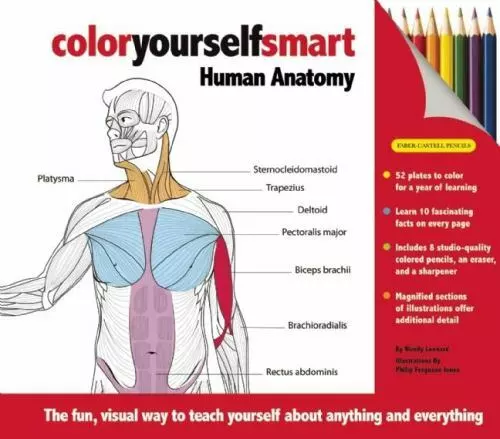 Color Yourself Smart: Human Anatomy [With Pencil Sharpener and 8 Colored...