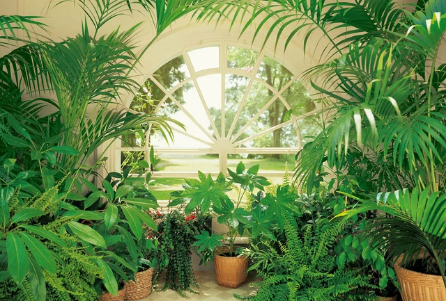 Papier Peint Jardin D'Hiver Vue à travers D'une Fenêtre, Nature 3,84 M X 2,6 M