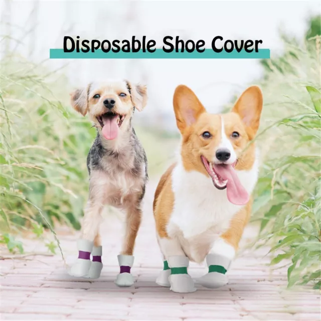WALKING SHOES REDUCE Scratches Disposable Pet Shoe Covers Protective ...