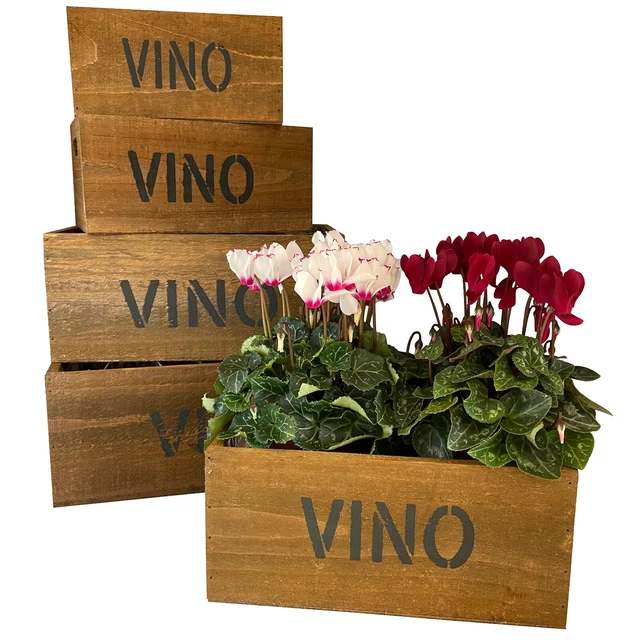 Alte Holzkisten VINO Set - Blumentöpfe, Vintage, Übertopf, Pflanzkübel, Kasten