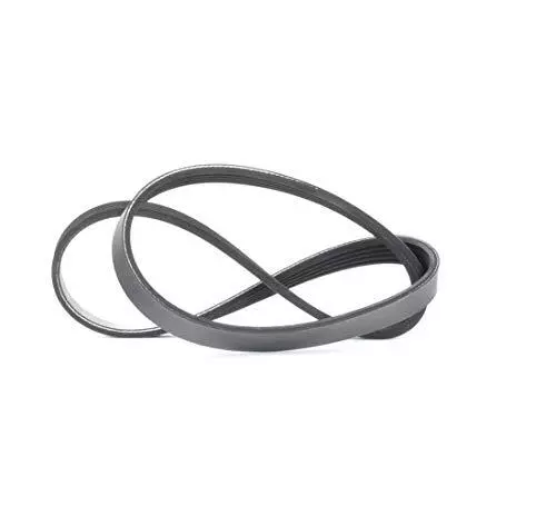 Meyle 050 005 0890 Cinghia Poly-V (u1W)