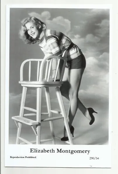 (Bx27) Liz Montgomery Swiftsure Photo Postcard (290/54) Filmstar Pin Up Glamor