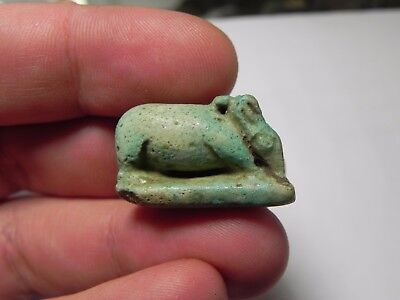 ZURQIEH -asw9- Ancient Egyptian . Large Egyptian faience Sow Amulet . 600 B.C