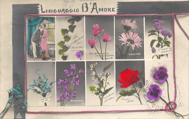 17-17A) Cartolina Fiori L'inguaggio D'amore Candore Modestia Rosa Viaggiata