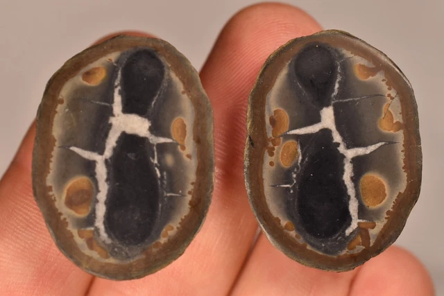 2 *SEPTARIAN NODULE* Halves 3.2cm 21.5g Natural Healing Crystal Geode