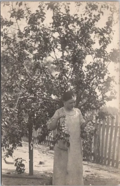 1910s RPPC Real Photo Postcard Young Woman in Backyard w/ 2 Bunches of Apricots