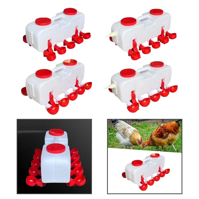 Drinker for chickens, feeder for poultry, chicks, for ducks and geese