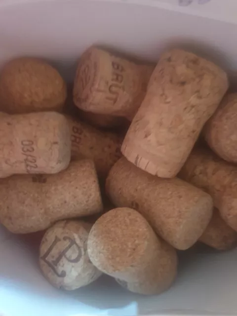 50 Used Classic Champagne Style Corks - Cork for Craft, Wedding, Art or Fishing