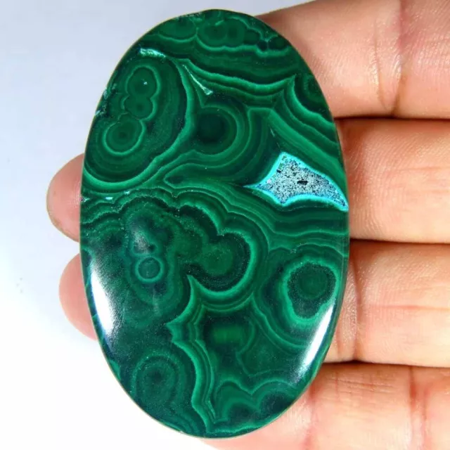 197.30Cts .100%Natural Big Malachite Chrysocolla Oval Cab 38x60x6mm Top Gemstone