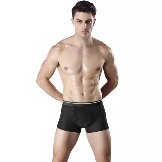 Men Seamless Ice Silk Underwear Boxer Briefs Shorts Soft Thin Panties Underpants 3