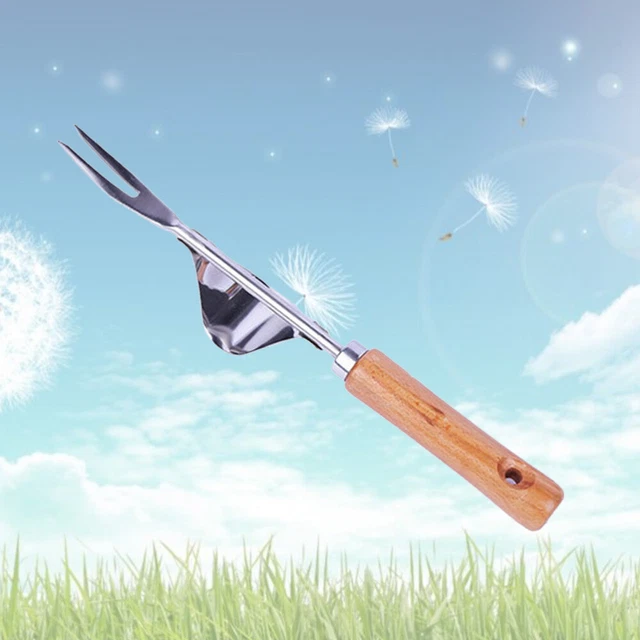 Désherbeur Manuel Gardenage - Griffe à 5 Ou 6 Dents Amovible - Outil Ergonomique Pour Jardin Et Cour