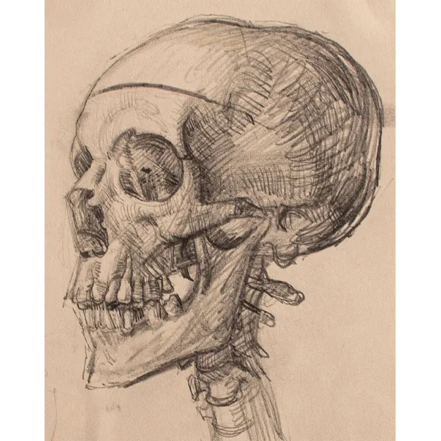 Willi Hertlein Schädel Skelett Körperstudie Bleistift Zeichnung 1 Hälfte 20 Jh