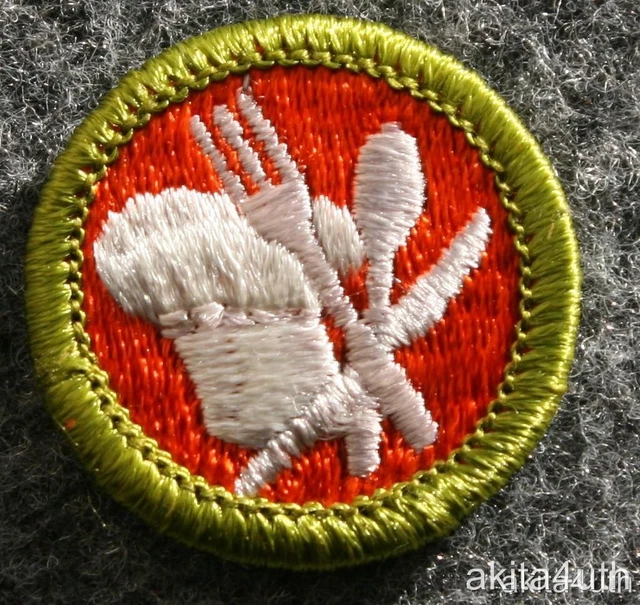BSA COOKING Merit Badge Type H Boy Scouts of America 4.99 PicClick