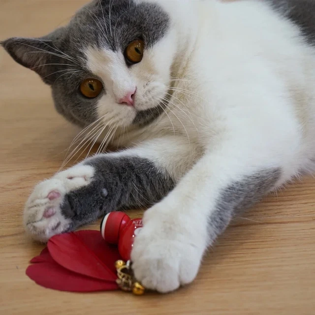 Automatic Intelligent Teasing Cat Artifact Pet Cats Smart Toy Small Goldfish Toy