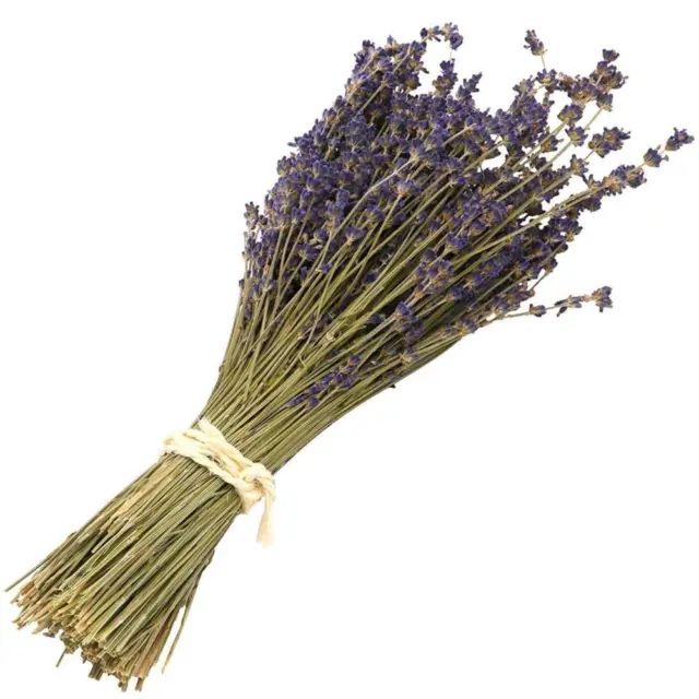 1 Bunch Lavender Natural Dried Flower Best Gift Grass GIFTS A7N1