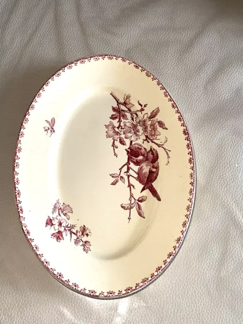 Rare Petit  Plat  Ovale Sarreguemines  Décor  Favori  Rouge