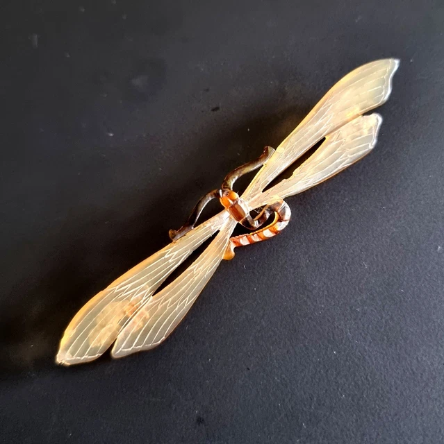 Ancienne Grande Broche Art Nouveau Libellule en Corne tenté dlg Gip 