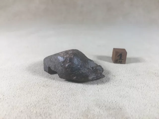 Meteorite Nwa Chondrite Maroc / Sahara / 45 Grammes / 2019 2