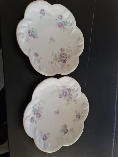 Lot de 2 assiettes en porcelaine Limoges avec fleurs Tres ancienne