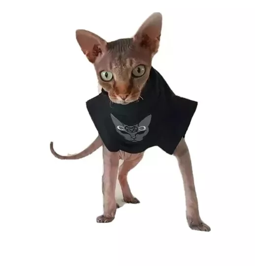 sizes EVIL CAT for a Sphynx cat, Sphynx cat clothes, Katzenbekleidung, HOTSPHYNX