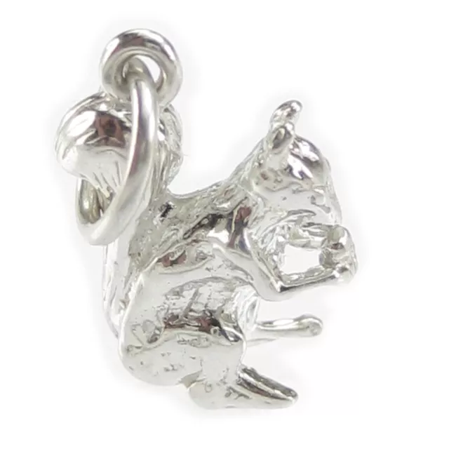 Eichhörnchen frisst winzige Eichel Sterling Silber Charm .925 x 1 Eichhörnchen C