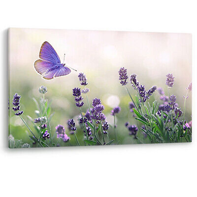 Purple Blossom Lavender Butterfly Nature Large Canvas Wall Art Picture Print