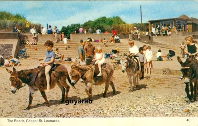 The Beach, Chapel St Leonards nr. Skegness - donkeys