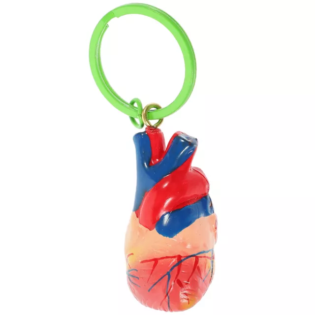 Anatomical Heart Keychain for Cardiologist Gift & Study-