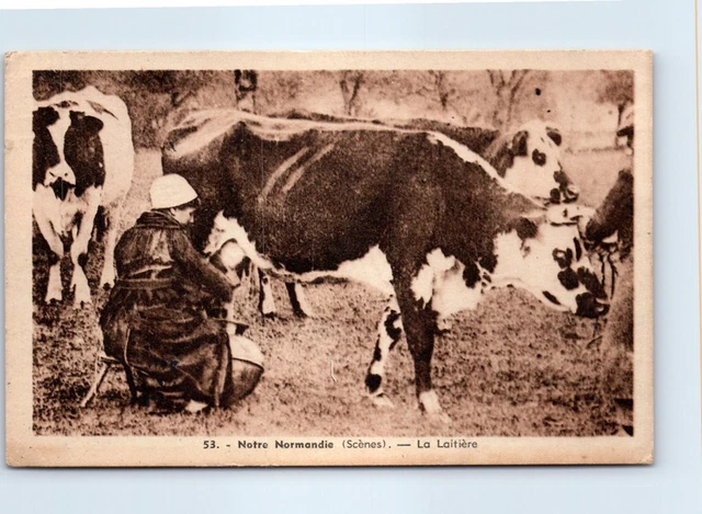 14 TYPE DE NORMANDIE  - carte postale ancienne [JR00429]