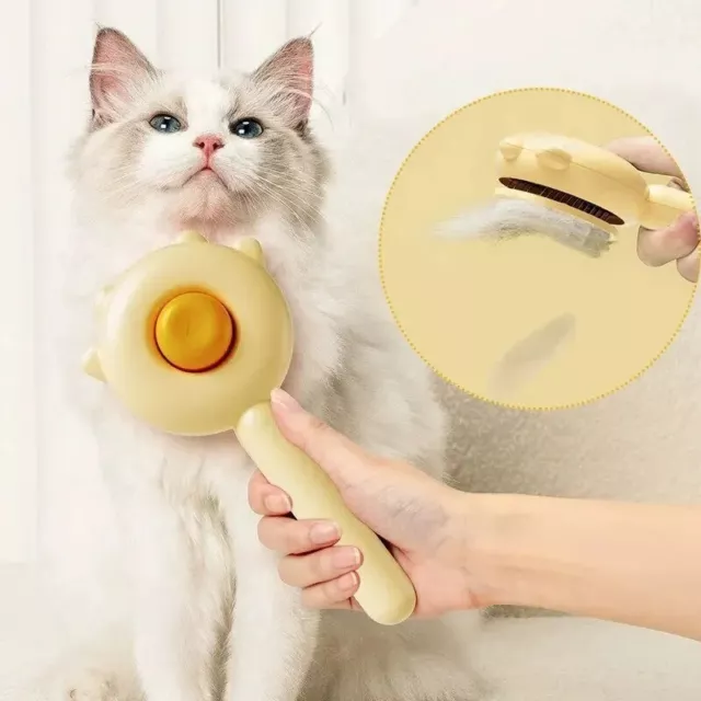 Brosse Toilettage pour Chien et Chat Anti-Perte de Poils, Accessoire Animaux