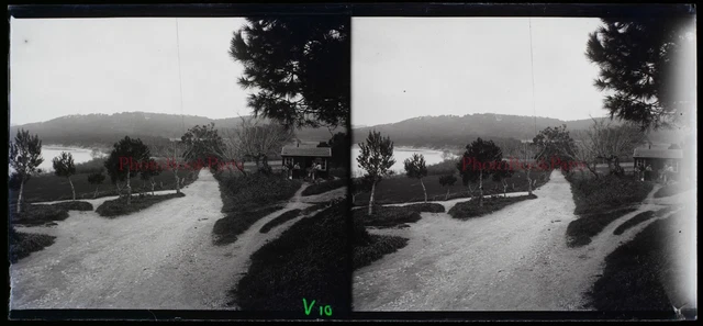 Paysage au bord de mer c1920 Photo NEGATIVE Plaque de verre Stereo Vintage 