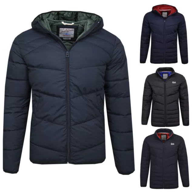 Jack & Jones uomo giacca trapuntata leggera giacca di transizione giacca giacca di transizione casual