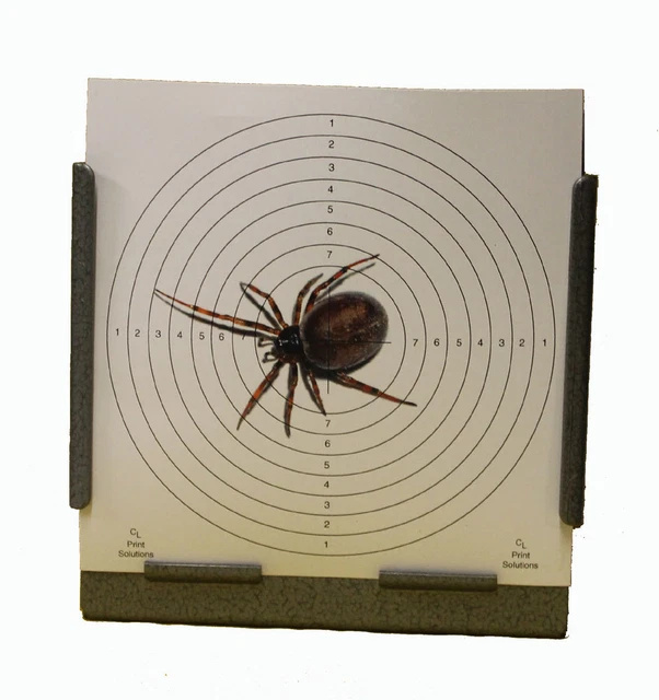 Spider Target 50 AIR RIFLE Shooting False Widow Spider Deluxe 275gsm Card Targets ...