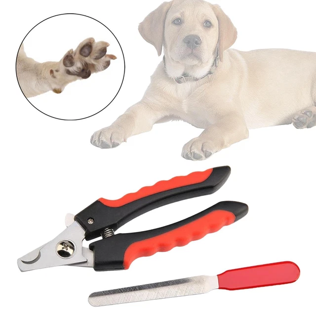 Tagliaunghie per cani  per unghie Strumento per la cura degli