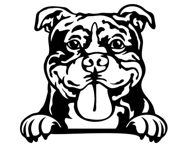 American Bully Dog Car Van Vinyl Sticker