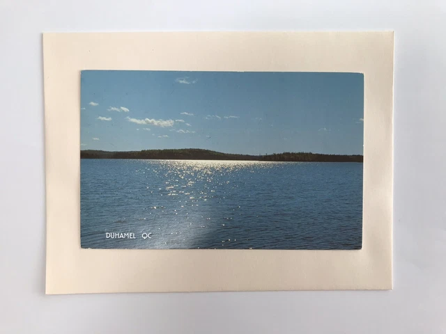 carte postale Village de Duhamel vue sur le lac et les montagnes Postcard