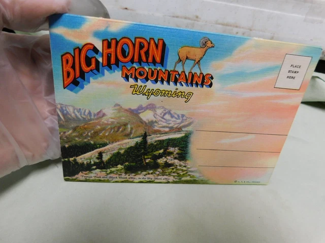 VTG Fold Out Views Post Card Type Big Horn Mountains Wyoming