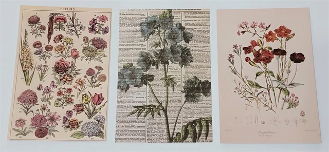 Victorian Trading 13 Asst Floral Succulent Planner Note Post Cards Frameable 28C