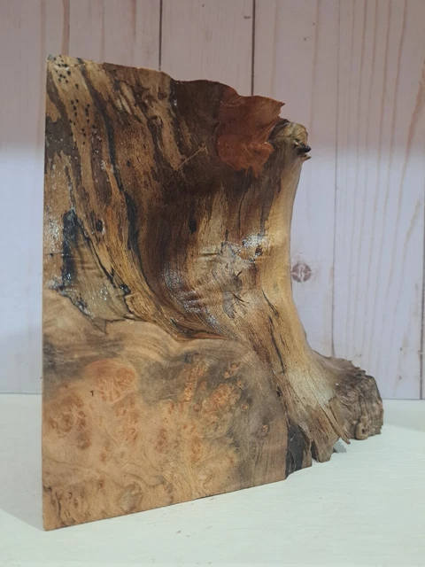 Ambrosía Plata Arce Burl Madera Malvada Borde Vivo, Madera Estabilizadora EPOXI