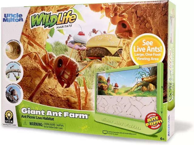 Giant Ant Farm - Large Viewing Area - Care for Live Ants - Nature Learning Toy