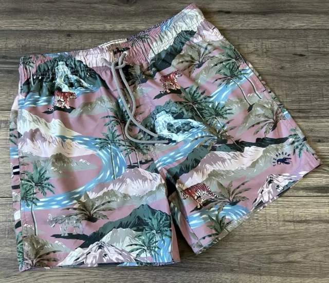 Ted Baker Tasmane Tigre Scena Nuoto Pantaloncini TAGLIA S (TB 2) Nuovo con