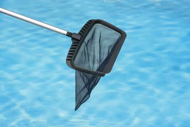 PREMIER COLLECTION MOLDED Swimming Pool and Spa Leaf Rake $22.01 - PicClick