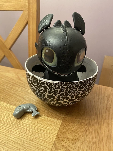 Hatching Baby Toothless DREAMWORKS HOW TO Train Your Dragon Hatching Toothless Interactive Baby ...