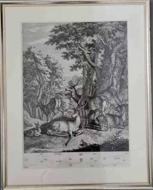 JOHANN ELIAS RIDINGER - Das Blenden eines Jagdbaren Hirschen - Jagd Bild