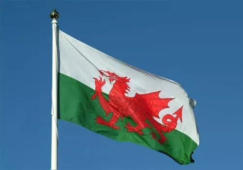 Giant Wales Cymru Welsh Dragon 5FT X 3FT Rugby 6 Nations Football World Cup Flag