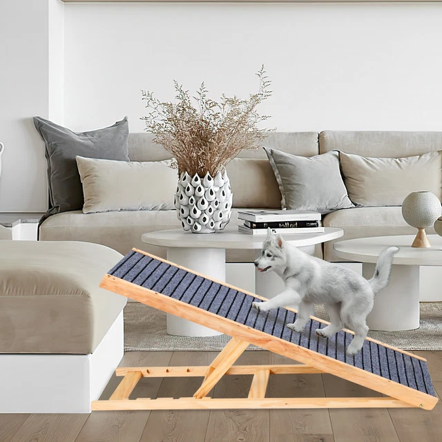 groe katzentoilette PeeWee EcoDome Starterpaket Grn