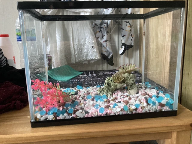 fish tank